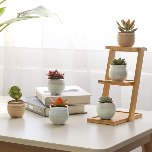 T4U Small Ceramic Succulent Pots with Drainage Set of 3, Mini Pots for Plants, Tiny Porcelain Planter, Air Plant Flower Pots Cactus Faux Plants Co...
