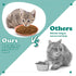 Gerrii 12 Pieces Whisker Fatigue Relief Cat Bowl 6 Inch Shallow Cat Food Dish Cat Wet Feeding Bowls Wide and Small Pet Plate for Kittens and Short...