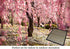 Shogi, Japanese Shogi, Japanese Chess, Magnetic Board Shogi Chess, Sho-gi, Jiangqi, Japanese Xiangqi...