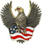 Eseres Brooches for Women American Flag Pin 4th of July Accessories USA Independence Day Eagle Brooches and Pins for Women Stars and Stripes Flag ...