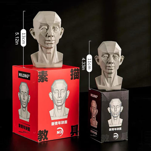 Generic Planar Head Model for Artists Learn Planes of Face, Human Manikin Head for Medical and Artistic Drawing Skecthing Painting, Color White (L...