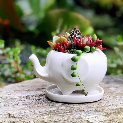 GeLive White Elephant Succulent Planter Ceramic Plant Pot Window Box with Saucer Animal Indoor Tabletop Decor Fun Gift 5 Inch (Mom Elephant)...