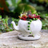 GeLive White Elephant Succulent Planter Ceramic Plant Pot Window Box with Saucer Animal Indoor Tabletop Decor Fun Gift 5 Inch (Mom Elephant)...
