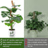 Bendable Moss Pole, 48 Inch Moss Pole for Plants Monstera, Tall Moss Poles for Climbing Plants Indoor, Large Moss Pole Support, Garden Trellis Pla...