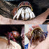 14PCS 14 Kind Natural Hermit Crab Shells Size 1" - 3.5", Opening 0.8" - 1.5" Hermit Crab Supplies Pearl Turbo Seashell for Décor...