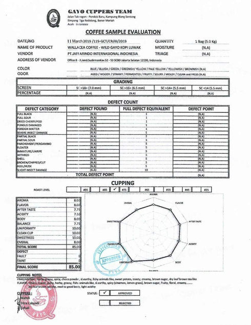 Wallacea Coffee Certified Wild Kopi Luwak Coffee Beans, Civet Coffee, Kopi Luwak From Gayo Sumatra Indonesia, coffee beans (8.8 oz)...