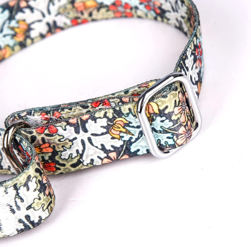 Heavy Duty Nylon Dog Collar, Adjustable Martingale Dog Collar for Walking Training Boy and Girl Dogs Medium Large Dogs (L:45-53CM, Gold)...