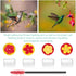Hand Hummingbird Feeder 4 Pieces Window Flower Hummingbird Feeder Mini Handheld Hummingbird Feeder Humming Bird Feeder Wild Bird Feeders with Clea...