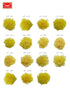 SmileSupplies Orthodontic Intraoral Latex Elastics Tooth Colours Pack of 100 Pcs + Free Placer for Braces (1/4" - 4.5 Oz)...