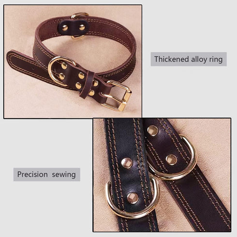 Leather Dog Collar for Medium Dogs Modern Stylish Look Best -Black...