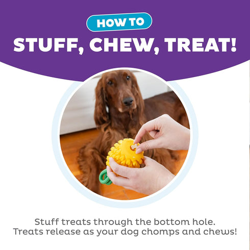 Outward Hound Dental Pineapple Dental Chew Toy and Interactive Treat Stuffer Durable Dog Toy Stuffable Dog Toy, Yellow...