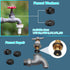 233 Pcs Plumbing and Faucet Washers Assortment Kit for Assorted Spigot Water Hose Bib Outside Garden faucet Splitter Gasket Leak Plumbes Valve Ste...
