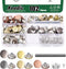 Keadic 202Pcs 5 Color No Sewing Jeans Buttons Replacement Kit with Metal Base, 17mm Metal Buttons Replacement Repair Combo Thread Rivets Tack Snap...
