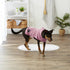 Bone Dry Pet Robe Collection, Embroidered Absorbent Microfiber Bath Robe with Adjustable Closure, for Dogs & Cats, Medium, Rose...