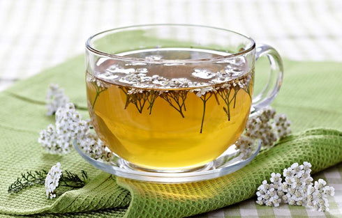 Health Embassy Yarrow Herb Tea | Achillea millefolium L | Herbal Tea (100g)...