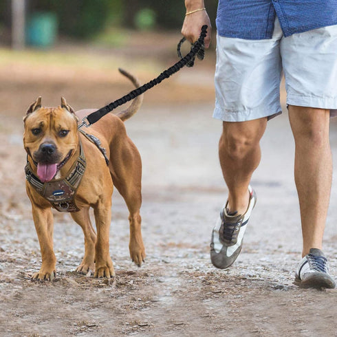 Dog Leash with Comfortable Padded Handle and Highly Reflective Threads, 360-Degree No Tangles and Comfortable Padded Handle,Suitable for Small,Med...