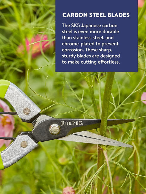 Burpee CR725 Garden Pruning Shears - Garden Hand Tools - Lightweight Precise Pruners for Gardening - Great for Flower Trimming or Vegetable Harves...