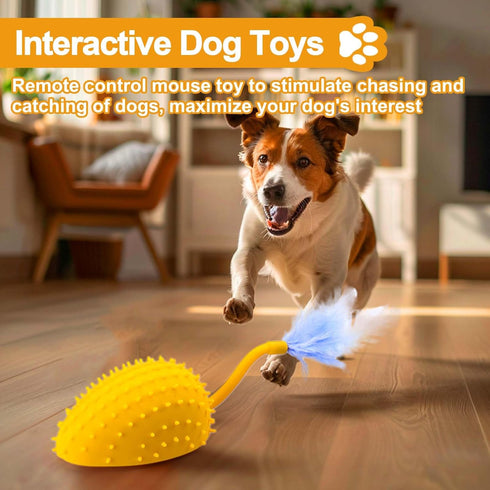 Mity rain Interactive Dog Toys, Remote Control Dog Toy with Feather Tail and Charger, Funny Dog Toys for Small Medium Dogs Outdoor and Indoor, Dog...