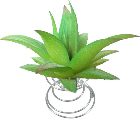 10 Pcs Air Plant Holder Tillandsia Metal Spring Stand Metal Holder Tabletop Planter Display...