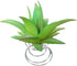 10 Pcs Air Plant Holder Tillandsia Metal Spring Stand Metal Holder Tabletop Planter Display...