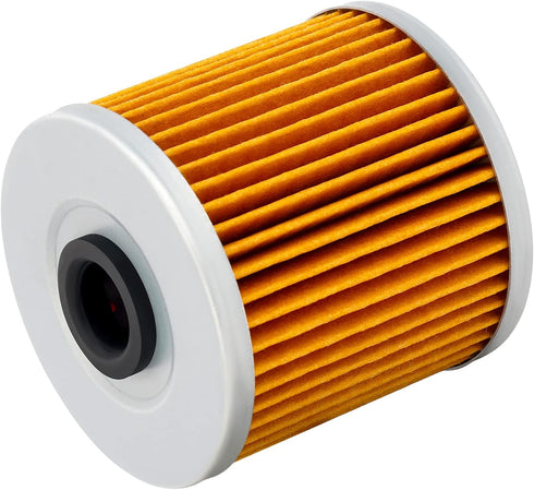 Road Passion 16099004 Oil Filter Compatible with KAWASAKI KEF300 LAKOTA 300 1995-2003 KEF300 LAKOTA SPORT 290 2001-2002...
