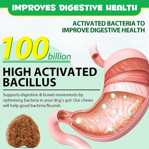 Probiotic Chews for Dogs (Duck 120PCS), Probiotics for Dogs with Digestive Enzymes, Dog Probiotics for Yeast, Itchy Skin, Anti Diarrhea, Gut Diges...