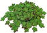 Mulberry Paper Maple Leaves Artificial Leaf Craft Leaves for Scrapbooking Wedding Doll House Supplies Card DIY Craft Project Party Decoration. (Gr...