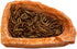 2 Pack Corner Reptile Water Dish Food Bowl Bearded Dragon Bowls, Reptile Food Bowl for Hermit Crab Bearded Dragon Lizard Gecko Frog Tortoise...