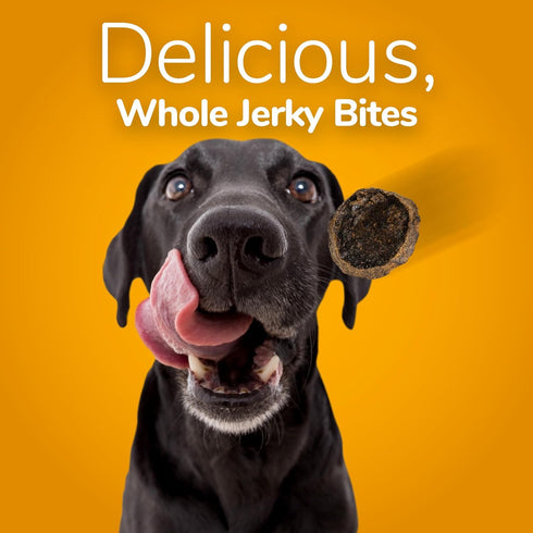 Fruitables Dog Treats – Whole Jerky Bites – Grilled Bison Dog Treats – Healthy Dog Treats – 5 Ounces...