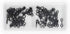Dritz Hook & Eye Closures, 14 Count, Size 0, Black...