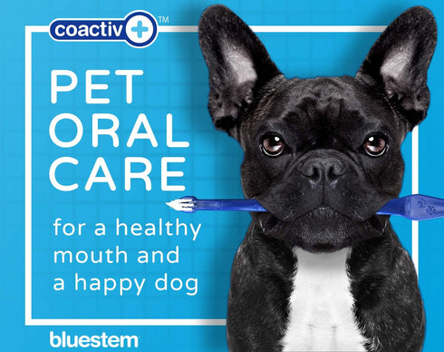 Bluestem toothbrbluestem Pet Toothbrush Set - includes 2 Double-Sided Dog and Cat Tooth Brushes - Gentle Yet Effective Pet Teeth Cleaning Kit...