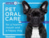 Bluestem toothbrbluestem Pet Toothbrush Set - includes 2 Double-Sided Dog and Cat Tooth Brushes - Gentle Yet Effective Pet Teeth Cleaning Kit...