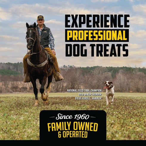 Field Master Perfect Partner Chicken & Brown Rice Recipe Training Dog Treats, 12 oz....