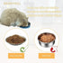 Stainless Steel Shallow Cat Food Bowls Wide Cat Dish Puppy Bowls Whisker Fatigue Relief Cat Plates Elevated Stands Replacement Kitten Metal Plate ...