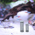 AUEAR, 2 Pack Stainless Steel Mesh Inflow Aquarium Filter Guard Intake Cover for Shrimp and Fish...