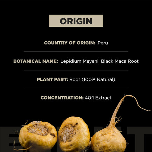 ELMNT 40,000mg 40x Strength Organic Black Maca Root with Ashwagandha - Highest Potency Black Maca Root Capsules for Men - 100% Pure Maca Peruana P...