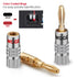 WGGE WG-009 Banana Plugs Audio Jack Connector 12 Pairs / 24 pcs, 24k Gold Dual Screw Lock Speaker Connector for Speaker Wire, Wall Plate, Home The...