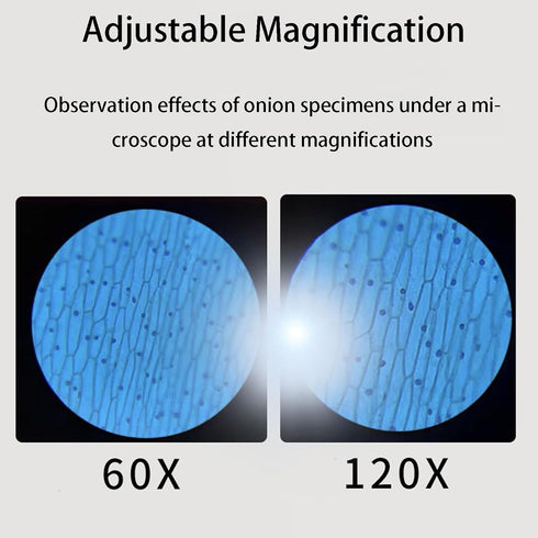 Minilabsters Miniscope Kids, Mini Labsters Portable Microscope, Miniscope Portable Microscope Kids Minilabsters, Pocket Microscope, Handheld Micro...