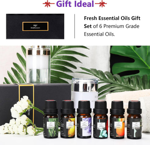 Refresh Essential Oil Set, 6x10ml Aromatherapy Oils for Diffuser, Humidifier, DIY Candle, Air Purifier...