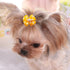 PET SHOW Bowknot Dog Hair Bows with French Barrette Clips Pet Puppies Yorkie Teddy Grooming Hair Accessories Pack of 10 (Paw Bone Printed)...