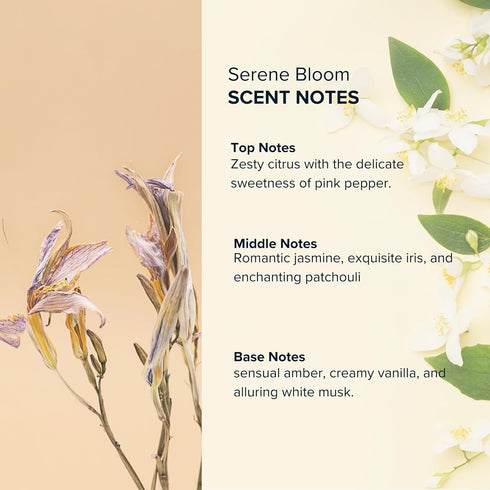 ANTHOLOGY Serene Bloom Roll on Perfume Oil for Women 0.3oz 9 ML | Citrus, Vanilla, Pink Pepper, Jasmine & Iris Notes | Alcohol Free, Travel size, ...