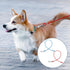 Chew Proof Cable Dog Leash Extension, 2 Pack Metal Cable Leads, Heavy Duty Dog Leash Non-Tangle Connect Leash for Any Leash & Collar & Harness, Do...