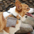 Dog Training Kit,Puppy Dog Treat Pouch Bag with Dog Clicker and Silent Whistle with Lanyard,Hands-Free Training Dog Treat Pouch,includes Carabiner...