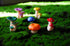 Mashrooms, 6 in one Set, Gardon Decor, Miniature Ornaments Kit for DIY Fairy Garden, Mini Landscape, Fairy Garden Accessories (6)...