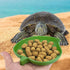 Leaf Shape Reptile Food Water Bowl 2 Pieces Reptile Plate Dish Drinking Bowl for Tortoise Corn Snake Crawl Pet Drinking and Eating, 2 Sizes...