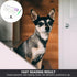 Dog Pregnancy Test Kit at Home, Fast Accurate Detection Pregnant Test Paper Strip for Dog, Cat Veterina Disposable Pet Clinic Equipment - Instruct...