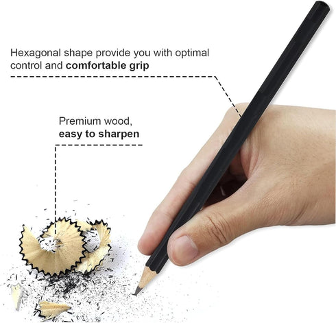 Drawing Pencils, 24pcs Art Supplies Sketching Pencil Set with Graphite Pencils Include 12B 10B 8B 7B 6B 5B 4B 3B 2B B HB 2H 4H 6H Charcoal Pencils...