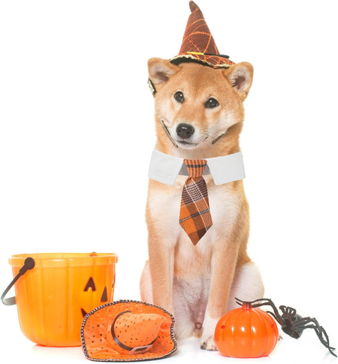 ADOGGYGO Fall Dog Necktie Pet Tuxedo Halloween Thanksgiving Dog Neck Tie Collar with Orange Plaid Tie for Medium Dogs Pets (Medium, Orange)...