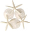 Tumbler Home Sand Dollars and Starfish for Crafts, 3 Real Starfish (4"-6") and 3 Sand Dollars (3"-3.5") in Bulk...