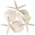 Tumbler Home Sand Dollars and Starfish for Crafts, 3 Real Starfish (4"-6") and 3 Sand Dollars (3"-3.5") in Bulk...
